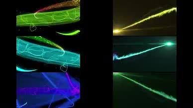 6组三维水彩动感粒子线条穿梭模板视频的预览图